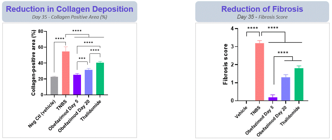 Anti-Fibrosis Studies pt 2.gif