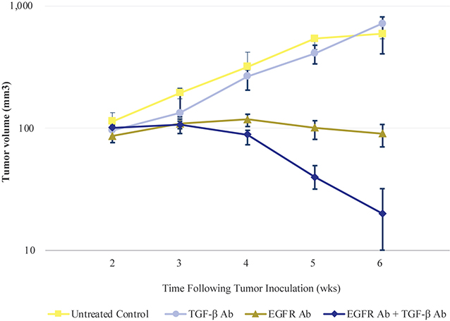 Figure 2.jpg