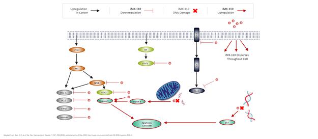 A computer screen shot of a diagram
Description automatically generated
