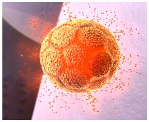 Thermodox Image for Page 2