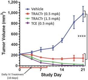 img111646922_13.jpg