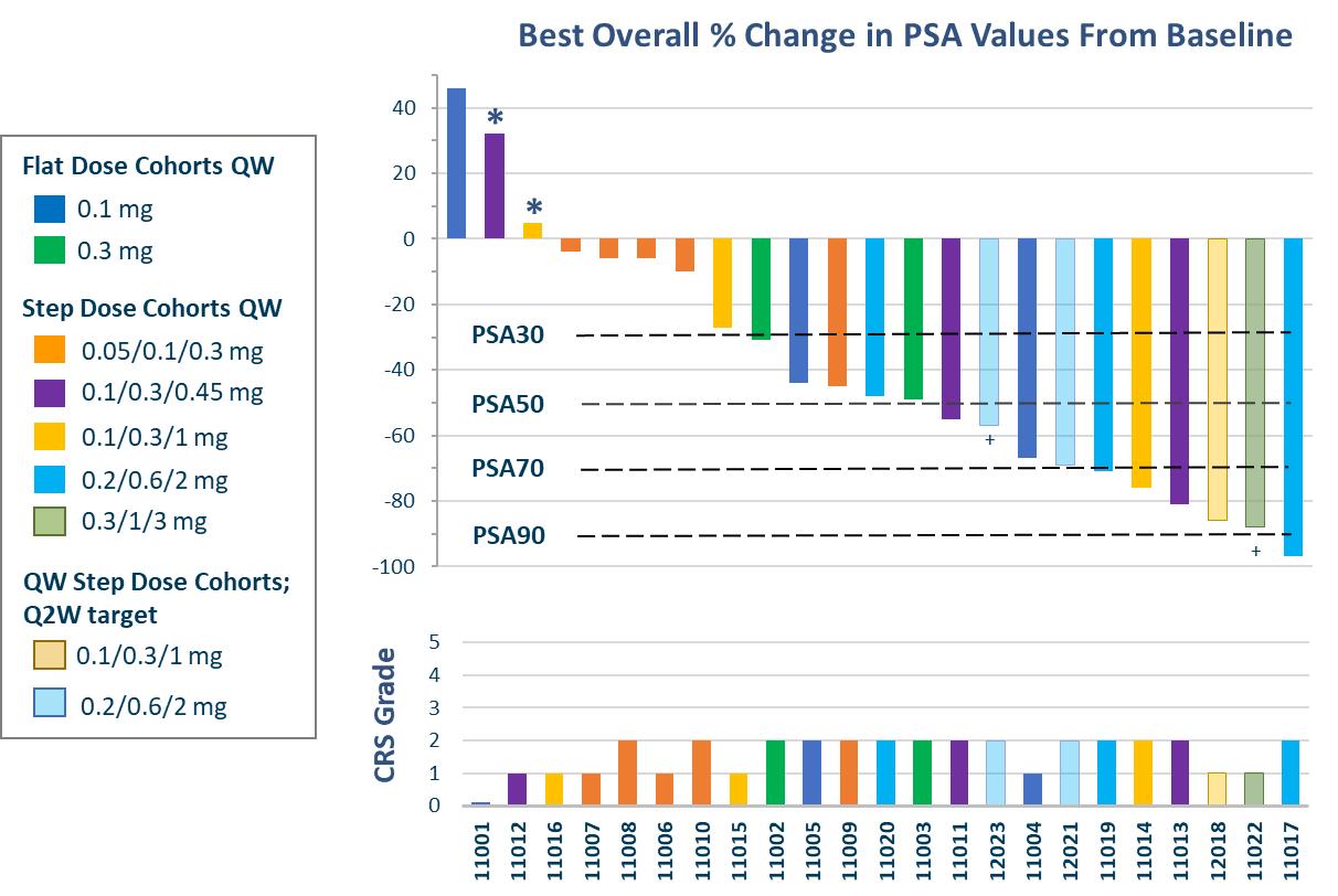 img111646922_19.jpg