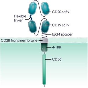 Figure_2_v1.jpg