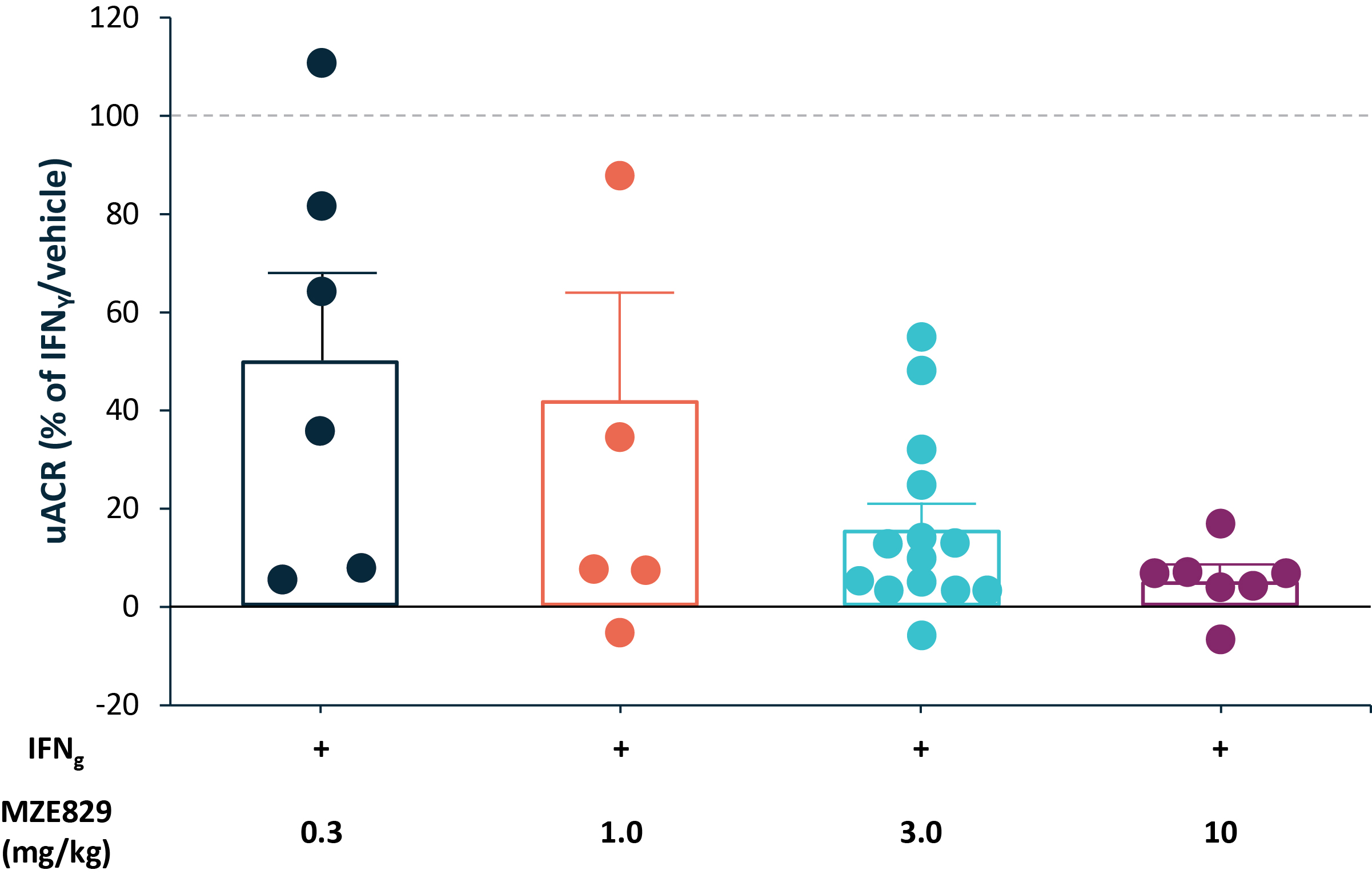 img75798095_6.jpg