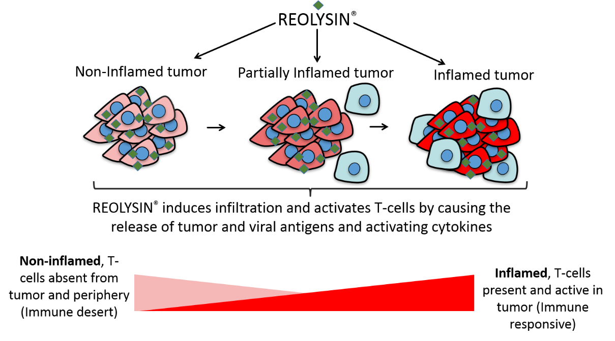 fig2.jpg