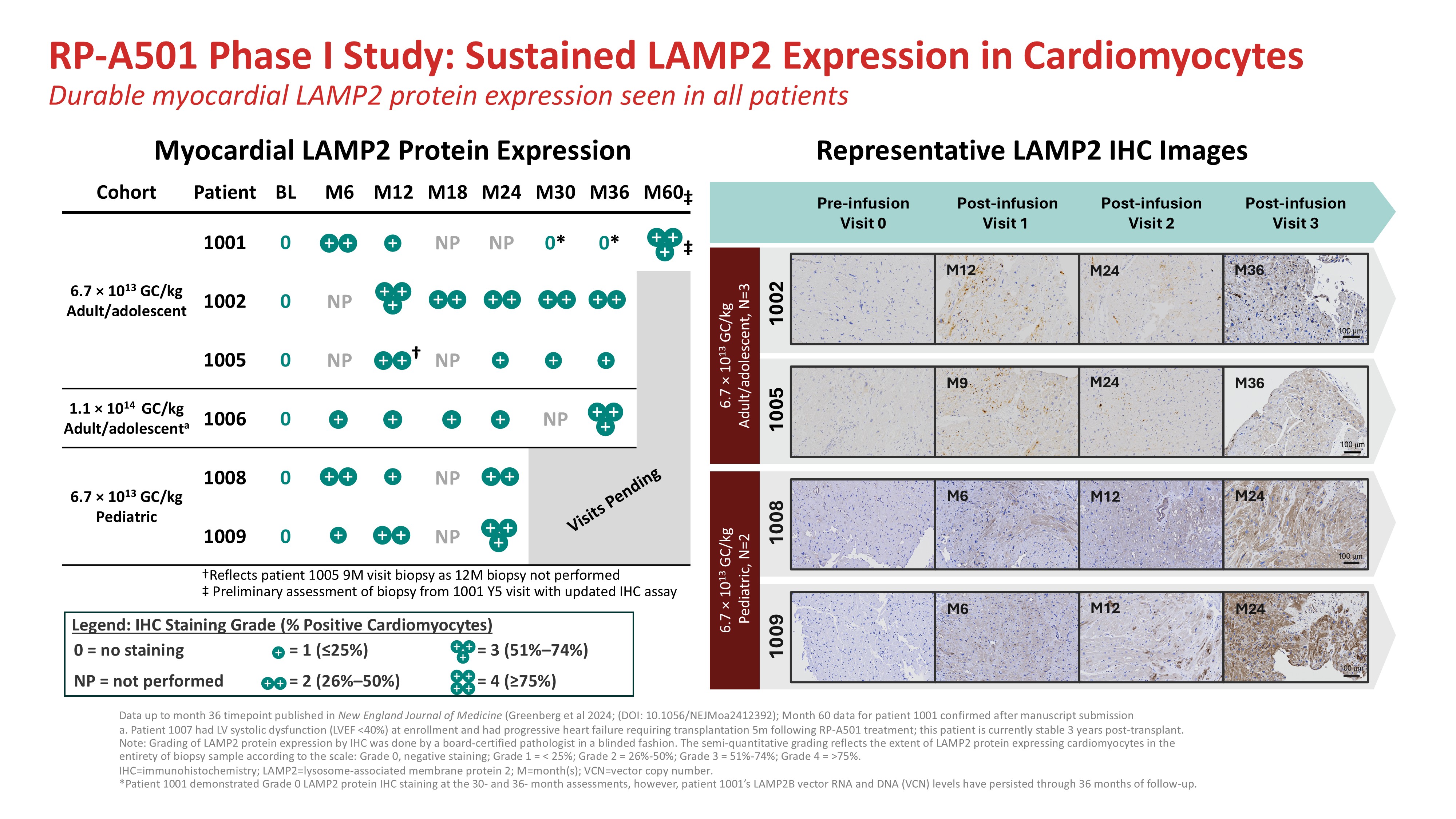 img25969577_1.jpg
