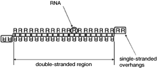 (FIGURE 3)