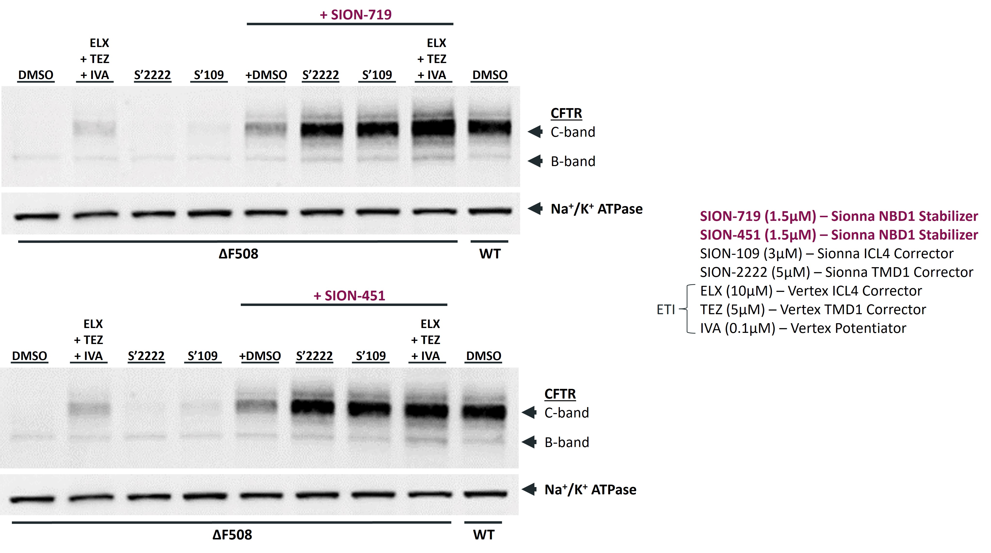 fig20a.jpg