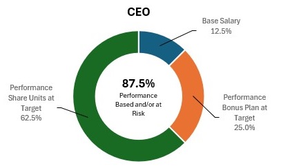 CEO comp circle chart rev 2.jpg