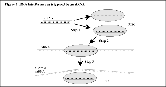 (GRAPH)