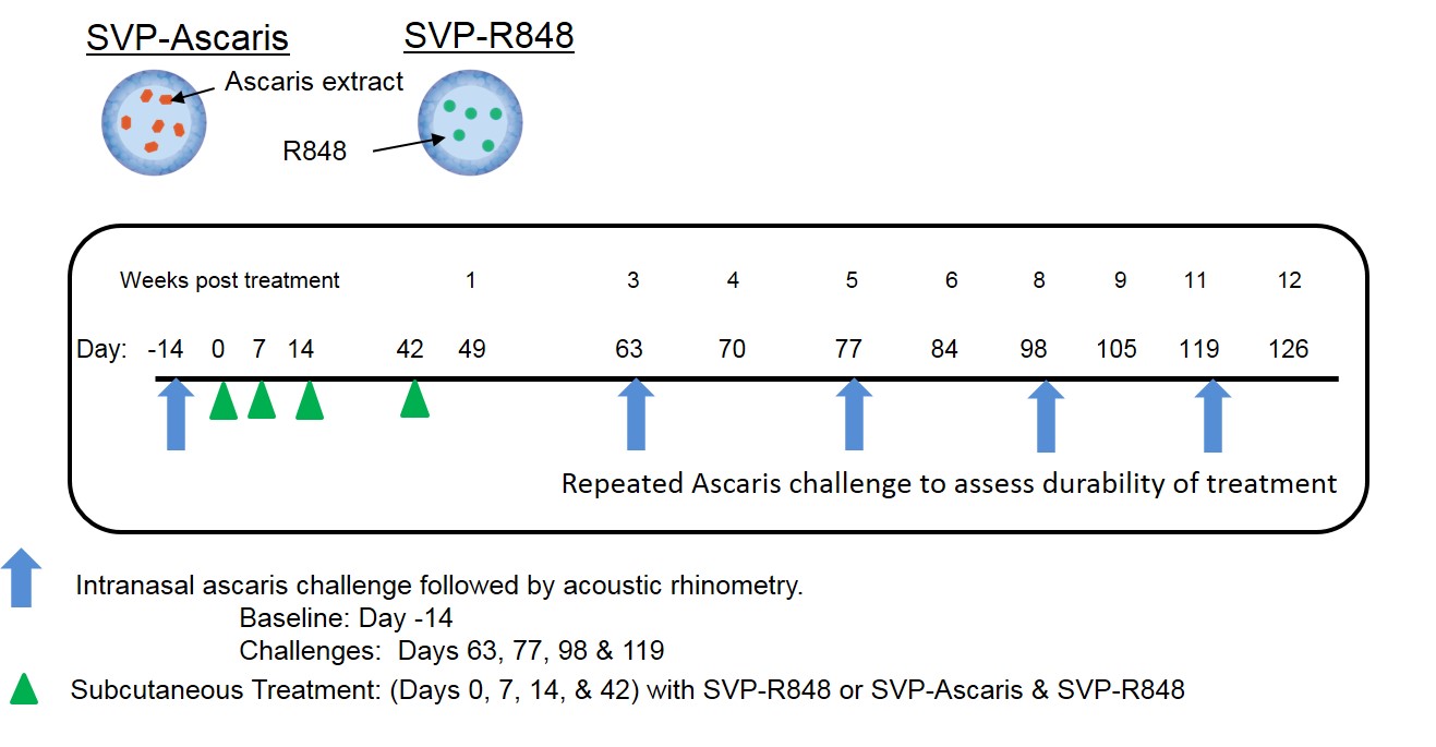 figure30a.jpg