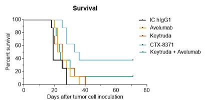 cmpx20241231_10kimg011.jpg