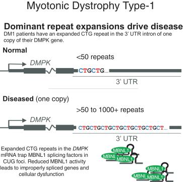 img215454963_8.jpg