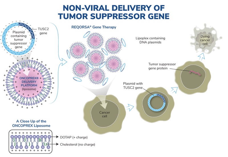 oncoprexdliverysystem.jpg
