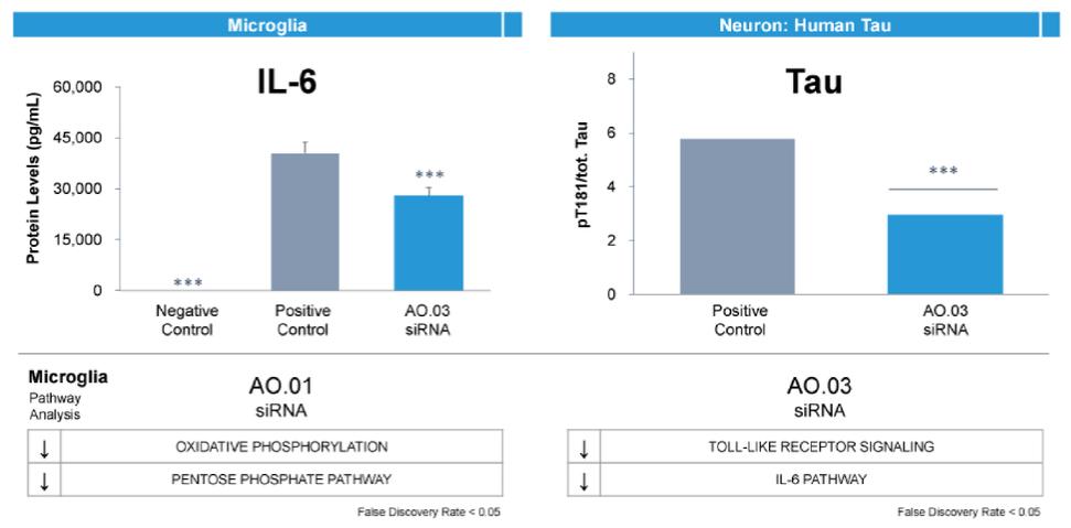 A picture containing bar chart
Description automatically generated