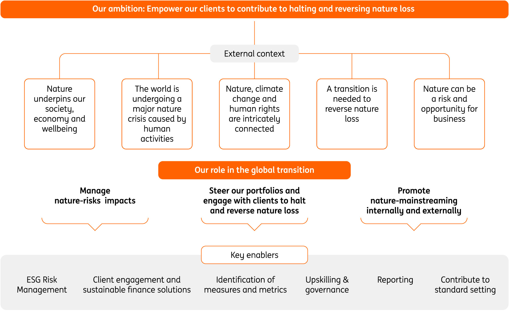 E4---Our-nature-strategy-A.jpg