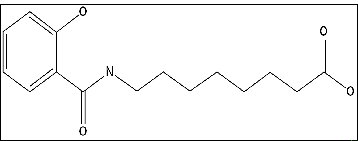 Image_1.jpg