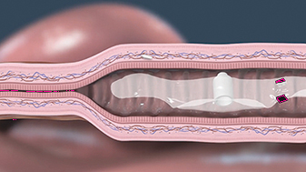 img174331008_5.jpg