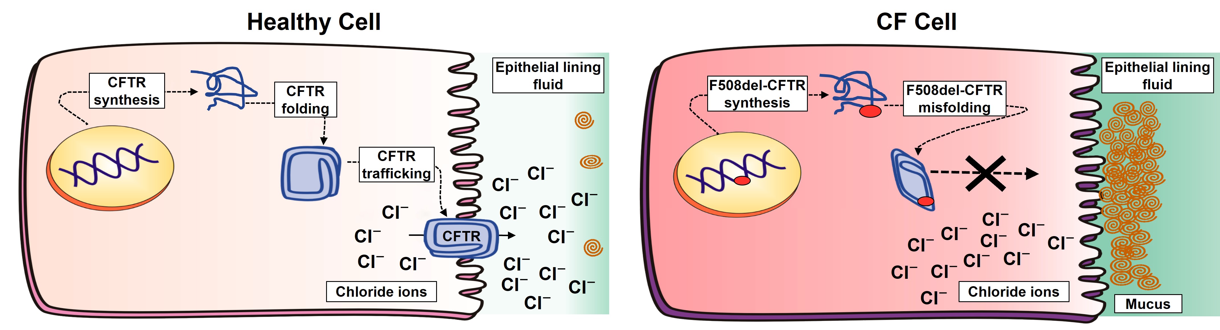 fig5.jpg