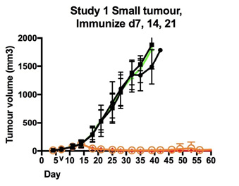 j18i.jpg
