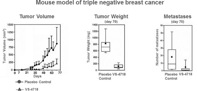 GRAPHIC