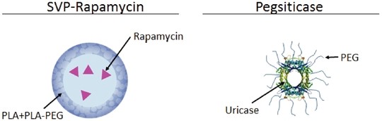 figure12.jpg