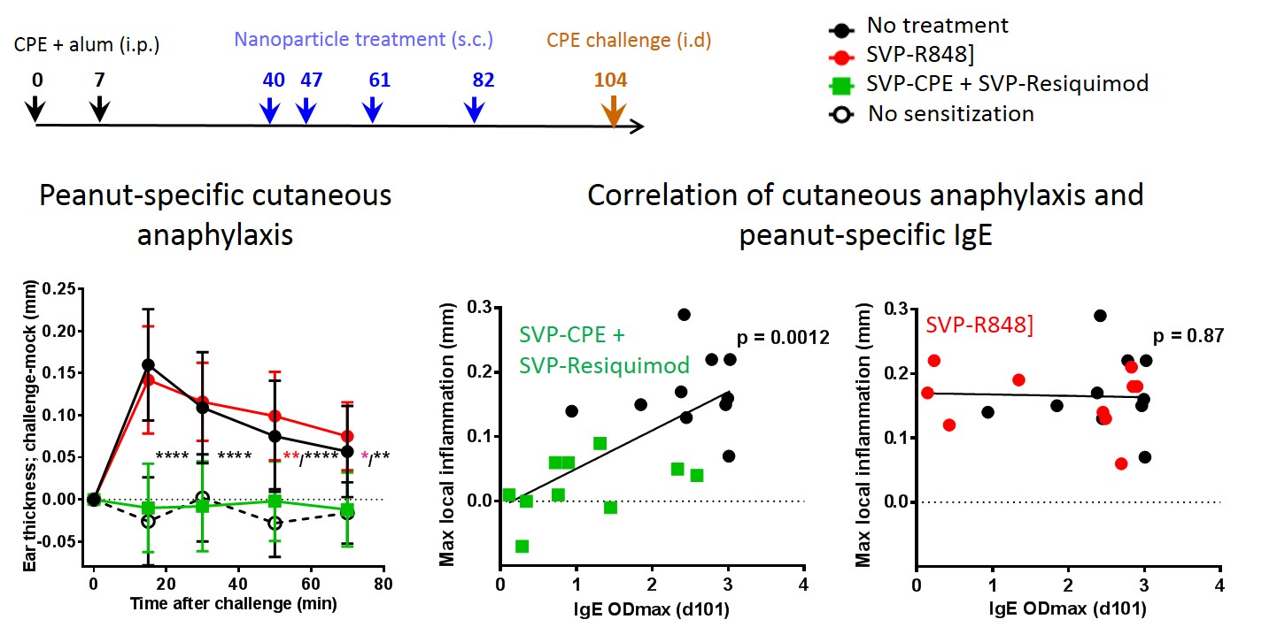 figure39.jpg
