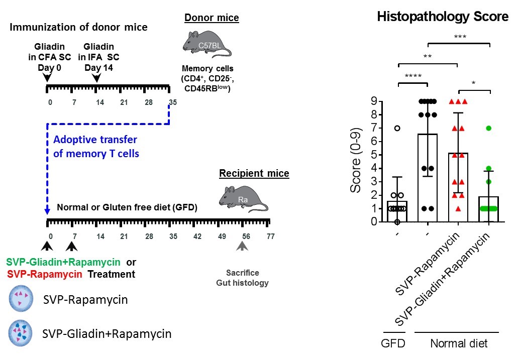 figure46.jpg