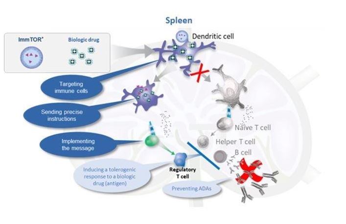 figure3a07.jpg