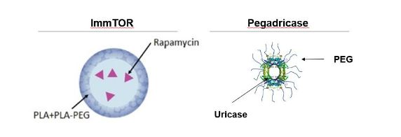 figure7a02.jpg