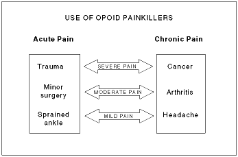 (USE OF OPOID PAINKILLERS GRAPHIC)