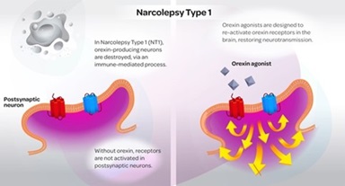 figure 2 .jpg