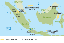 (map)