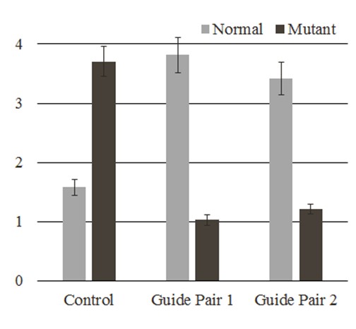 Picture 30