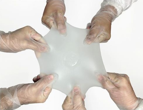 esta-20201231_g8.jpg