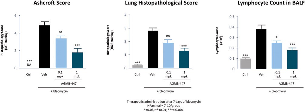 Graphic