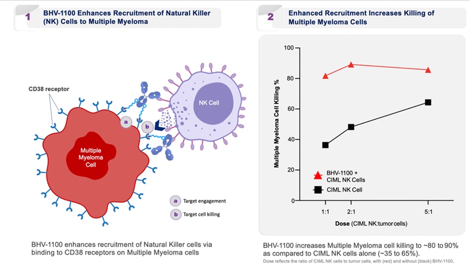 Business23a.jpg