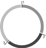 GRAPHIC