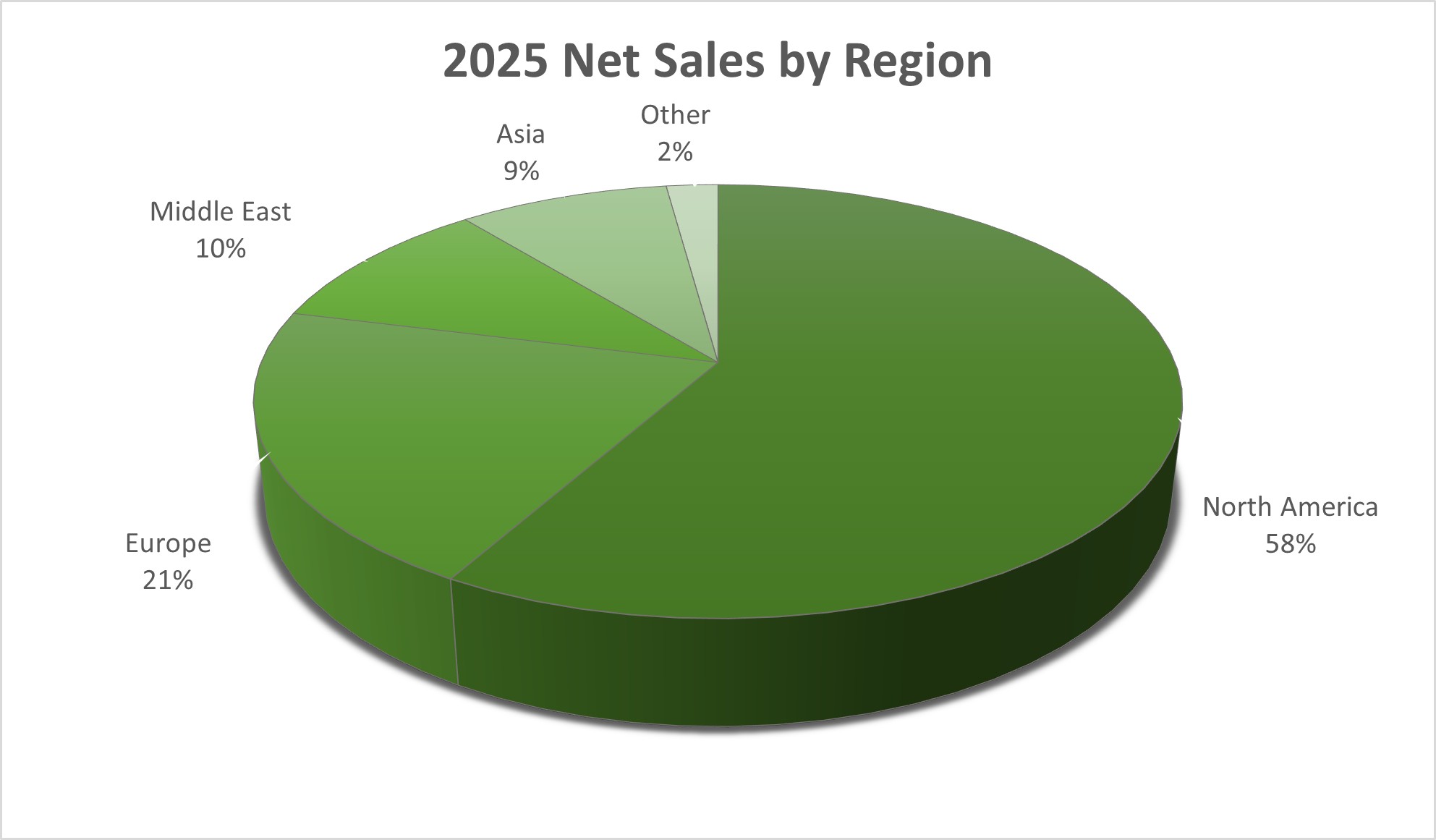 Net Sales by Region.jpg