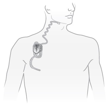 insp-20191231_g1.jpg