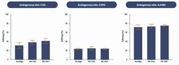 img248818684_4.gif