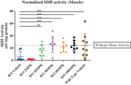 img131876768_3.jpg