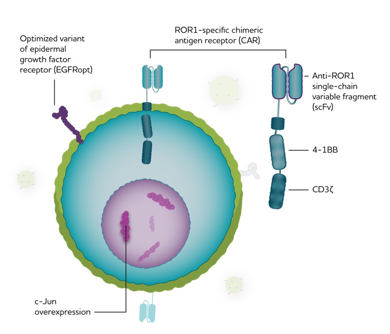 lyel-20221231_g5.jpg