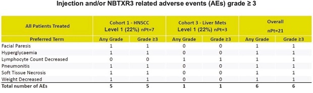 nbx-20211231_g21.jpg
