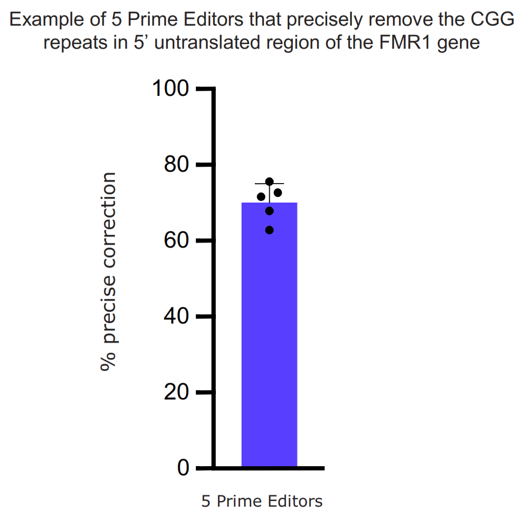 prme-20221231_g52.jpg