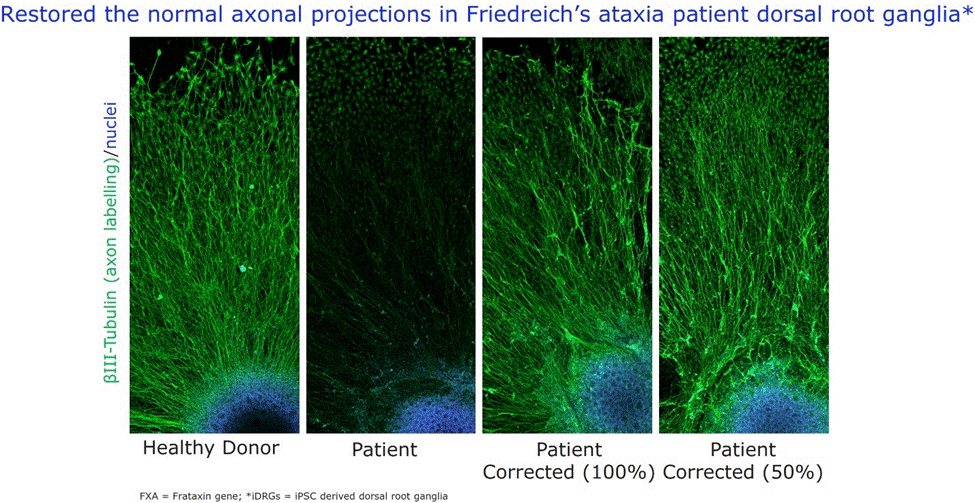 Image 17.gif