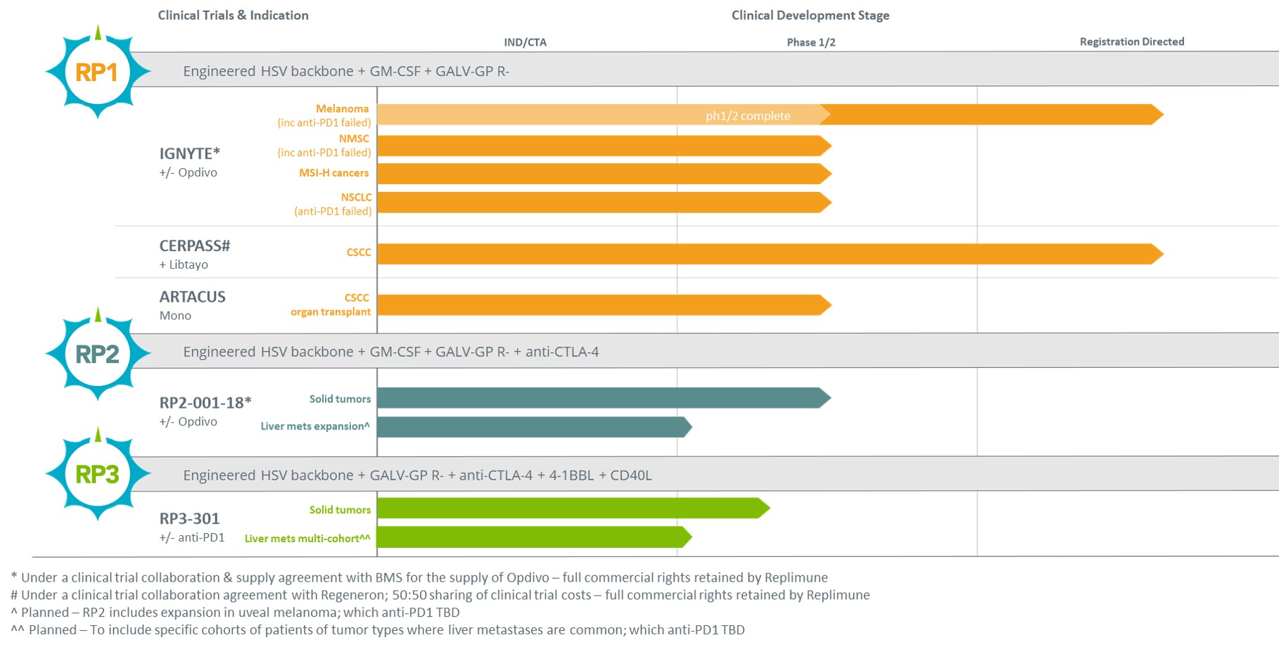 repl-20210930_g1.jpg