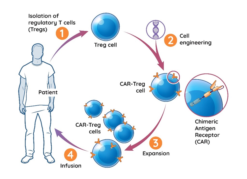 sgmo-20201231_g6.jpg