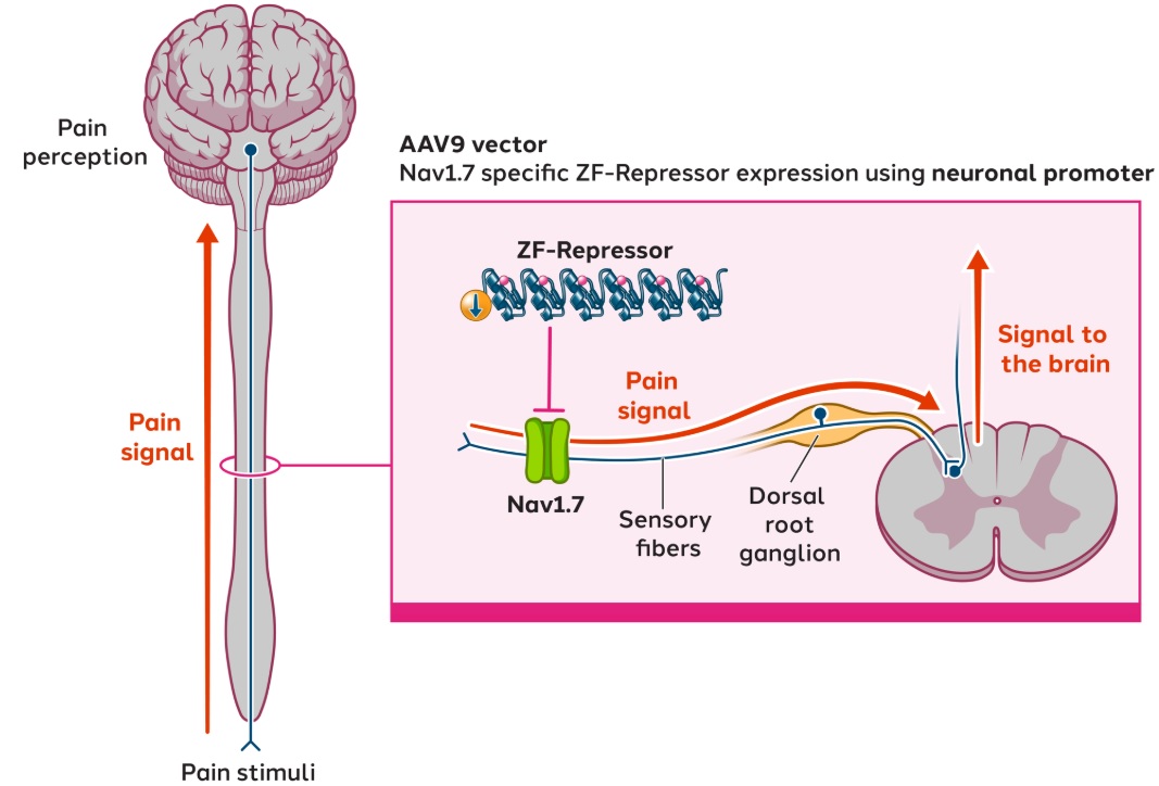 Figure 2.jpg
