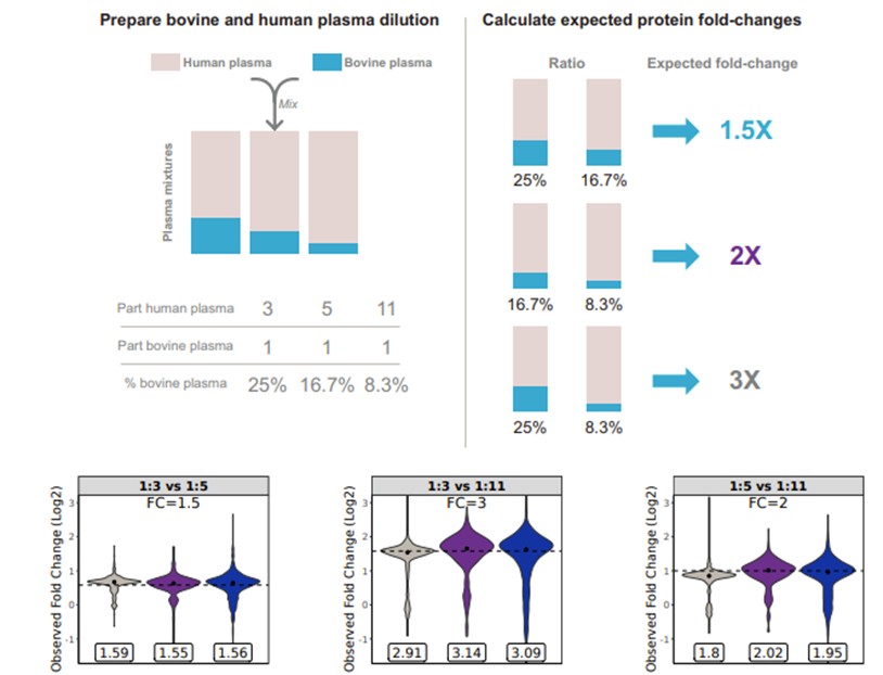 img124257149_11.jpg